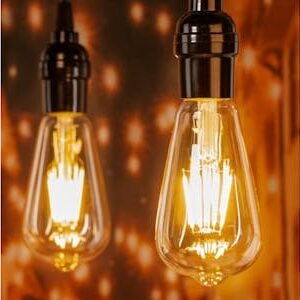 LED Edison Light Bulbs