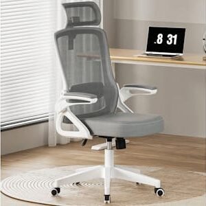 Ergonomic Office Chair