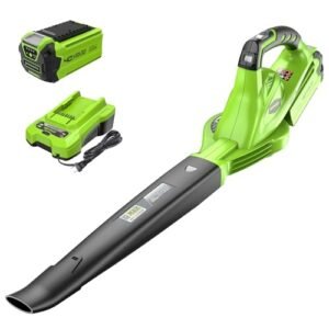– Greenworks Leaf Blowers