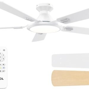 Hunter Ceiling Fan with Lights