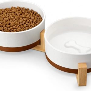 Dog Bowls