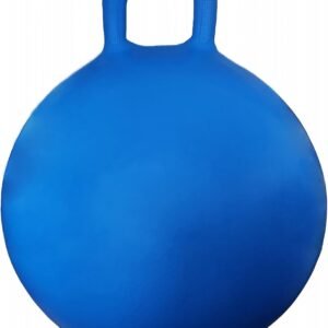 Apple Round Space Hopper 28in Bounce Ball