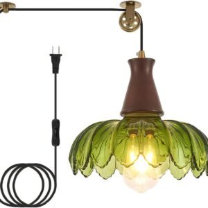 Vintage Plug in Pendant Light