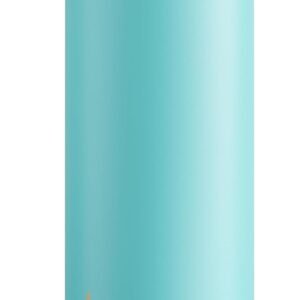 xx Leakproof Insulated Water Bottle with Straw Dual-Sip Water