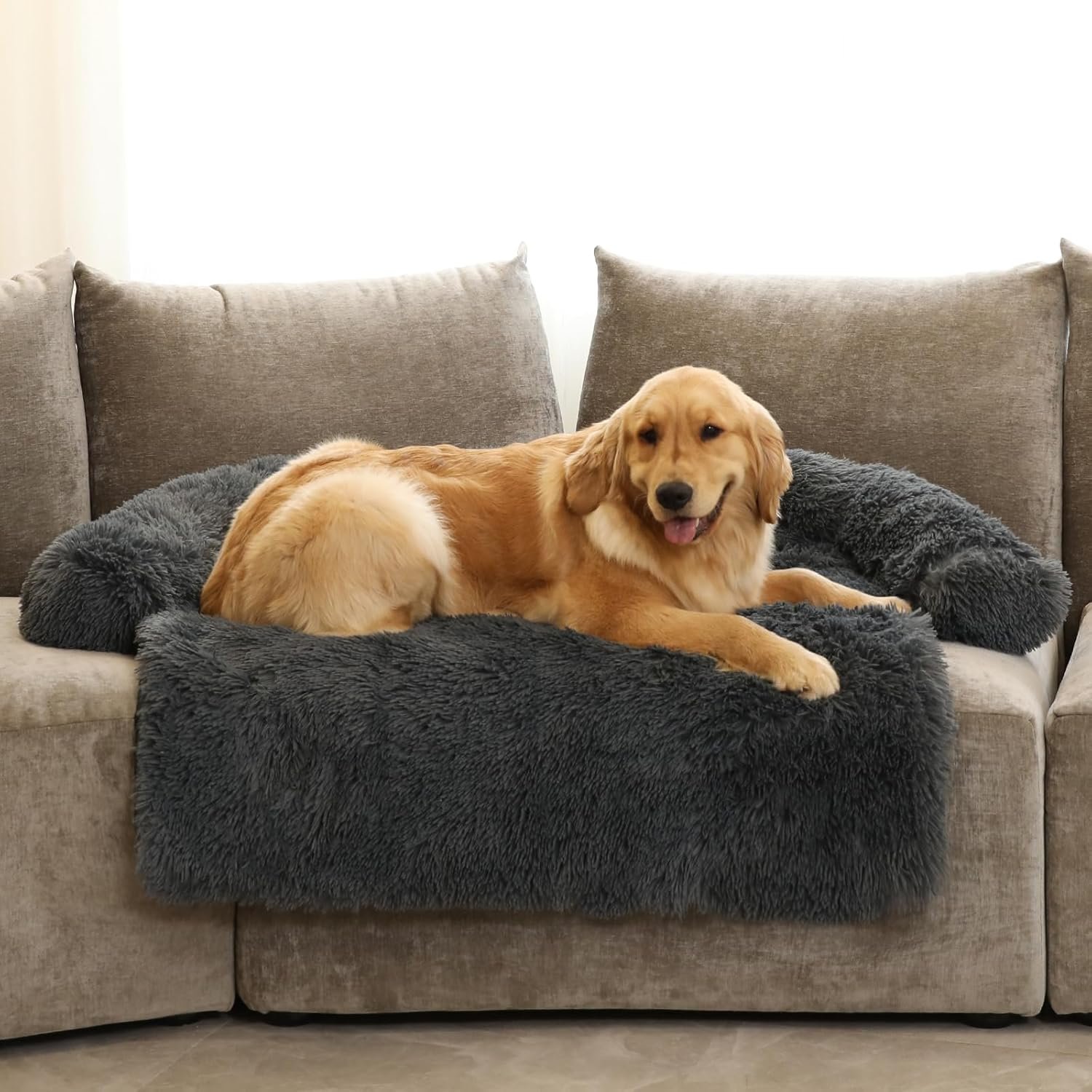 Dog Beds xx Pet Mattress 1 Dog Beds xx Pet Mattress