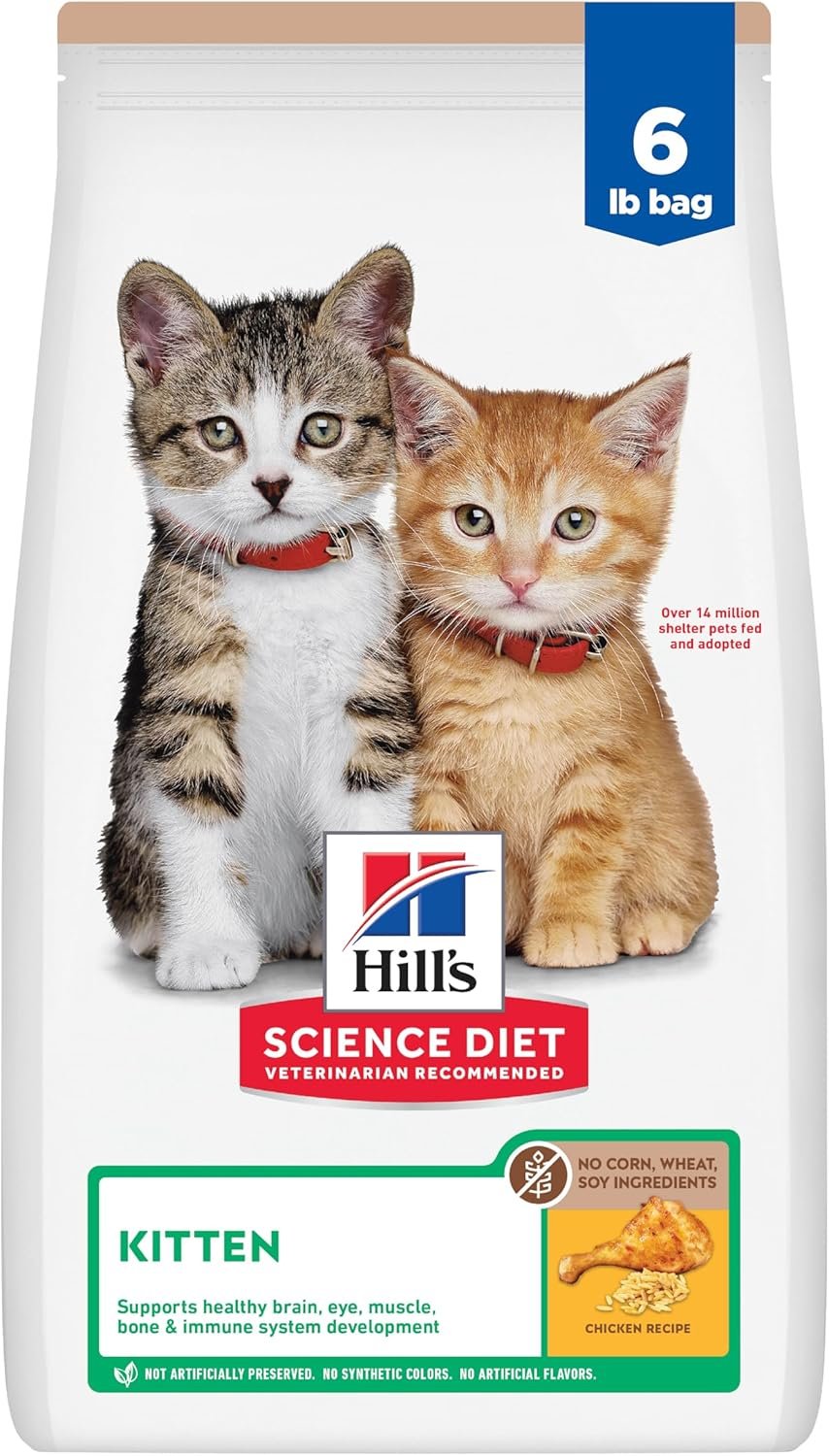 Hills Science Diet Kitten Food 6lbs 1 Hills Science Diet Kitten Food 6lbs