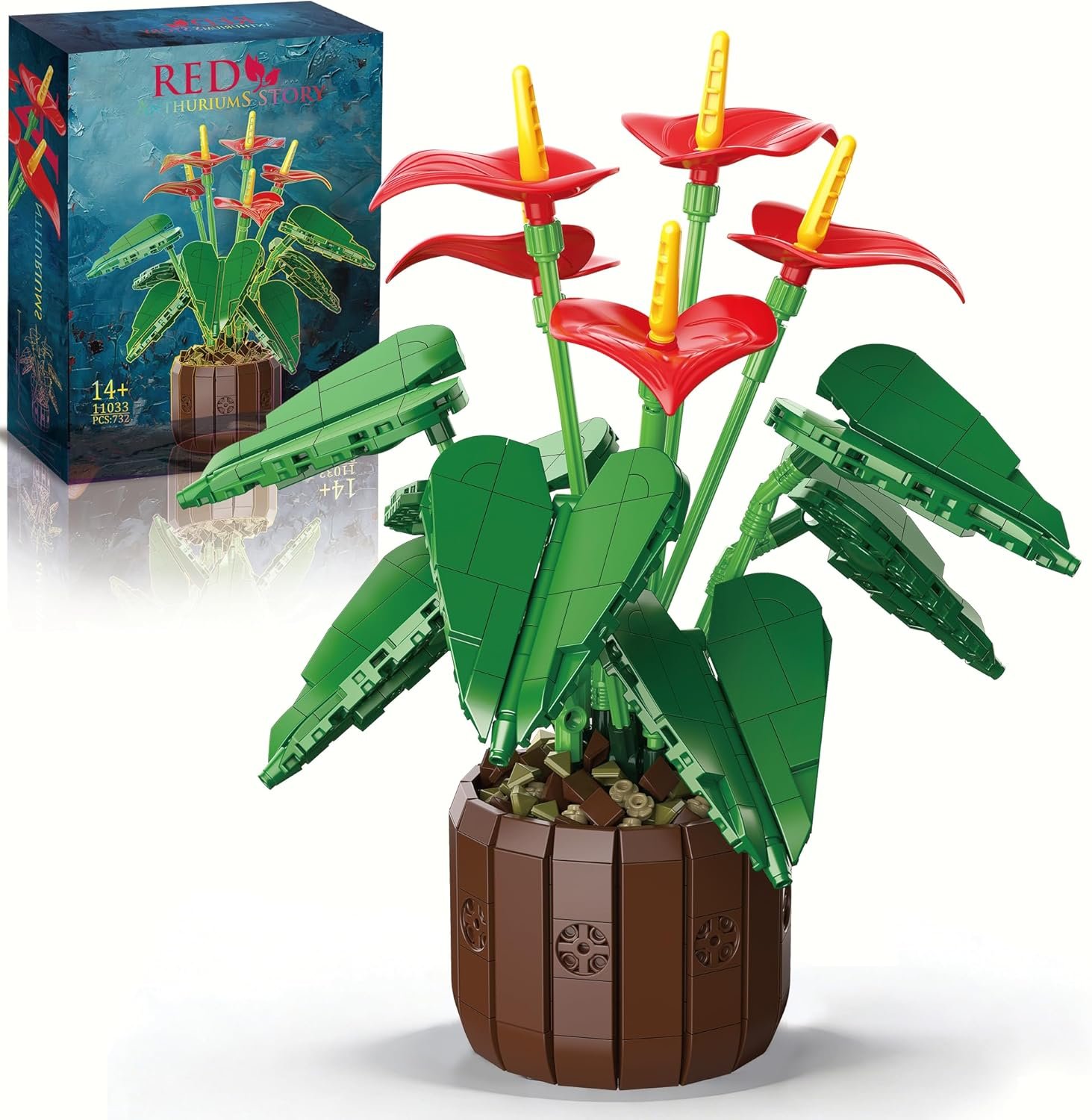 Anthurium Bonsai Set 50% Off 1 Anthurium Bonsai Set 50% Off