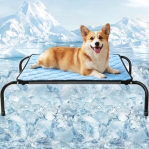 SZEE Raised Dog Bed