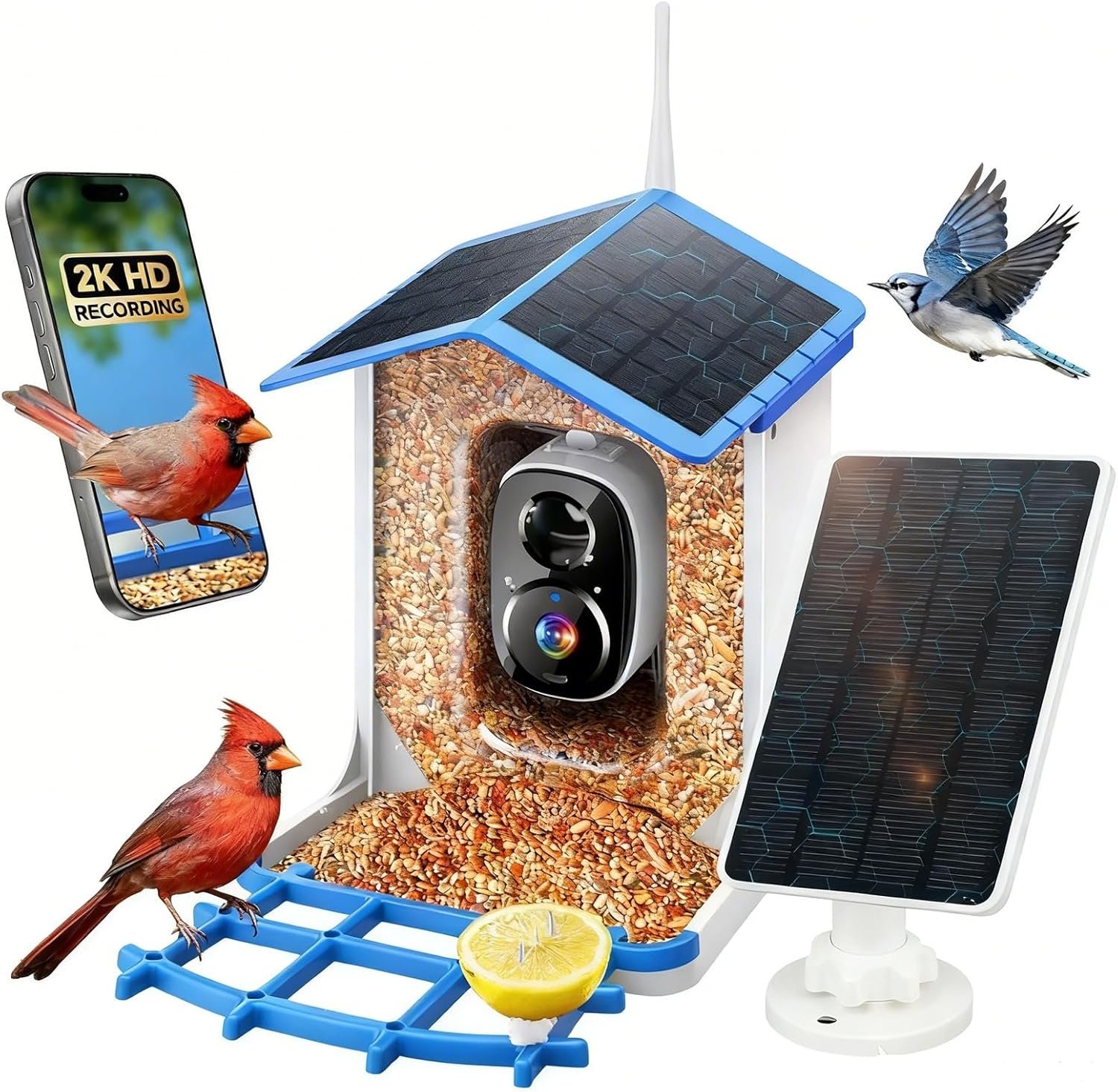 Reconyx Solar Bird Feeder Camera 1 Reconyx Solar Bird Feeder Camera