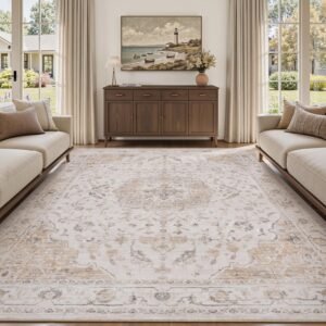 PADOOR 5×7 Area Rug for Living Room