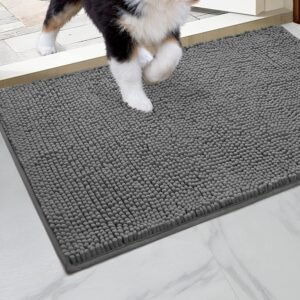 HOMEIDEAS Doormats for Indoor/Outdoor Use
