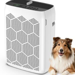 Xx HEPA Air Purifier for Large Rooms