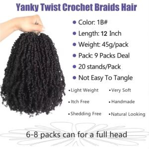 Datanala Crochet Braiding Hair