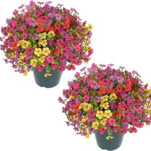 Velener Outdoor Flowers