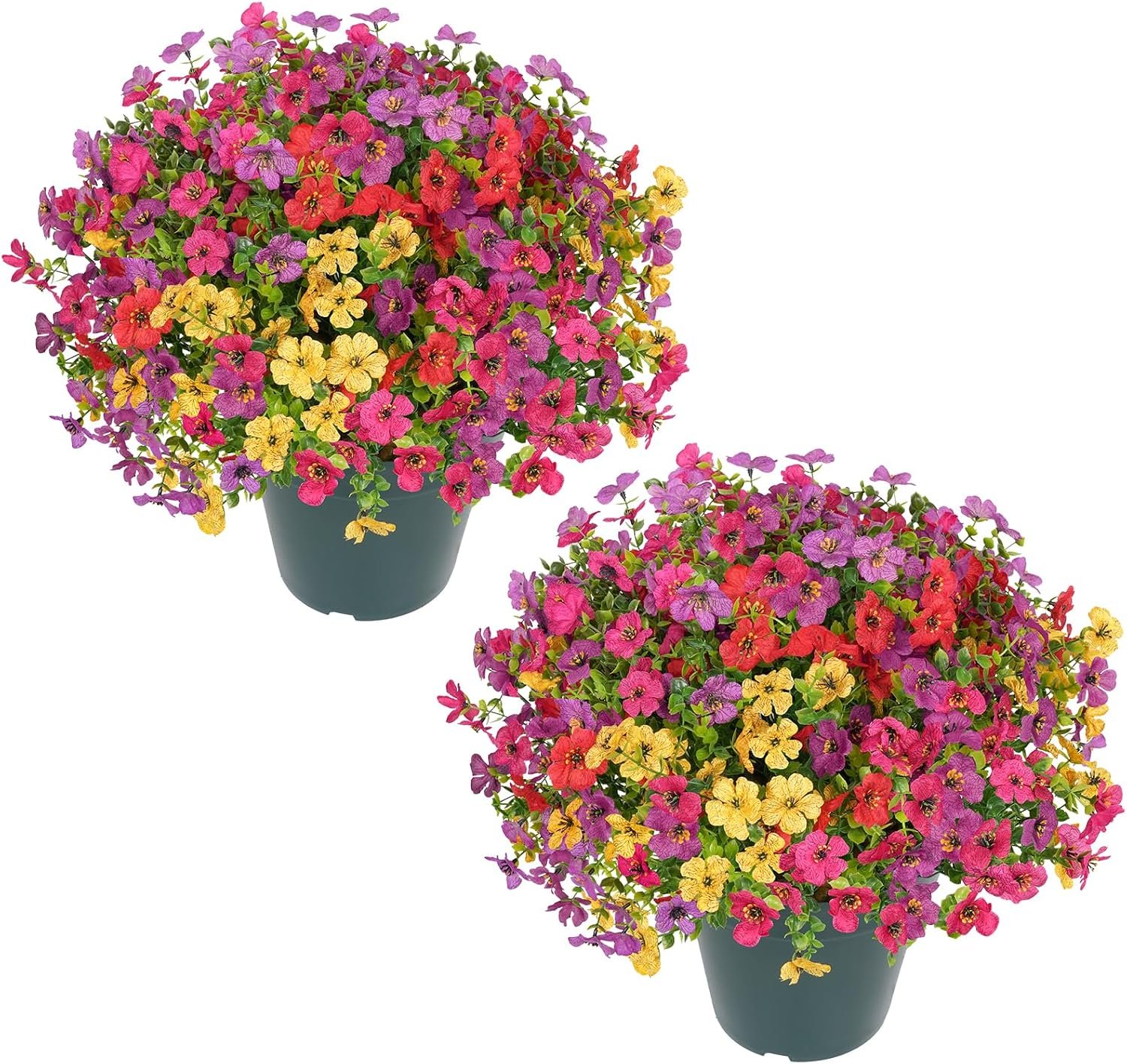 Velener Outdoor Flowers 1 Velener Outdoor Flowers